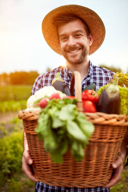 istock Young farmer with basket full of vegetables 671262968