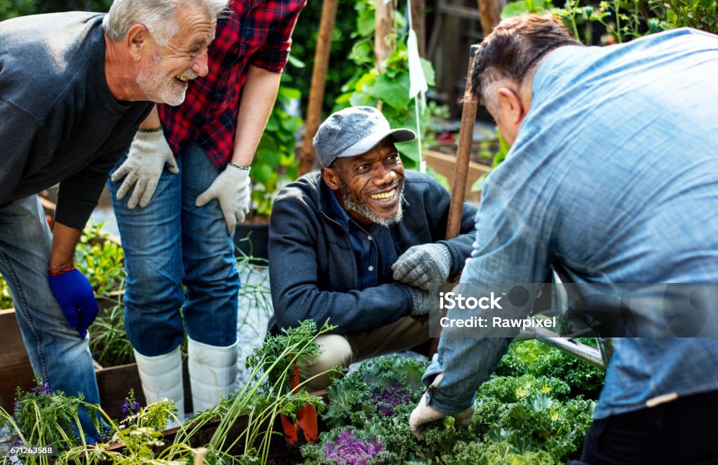 Group of people planting vegetable in greenhouse Community Stock Photo