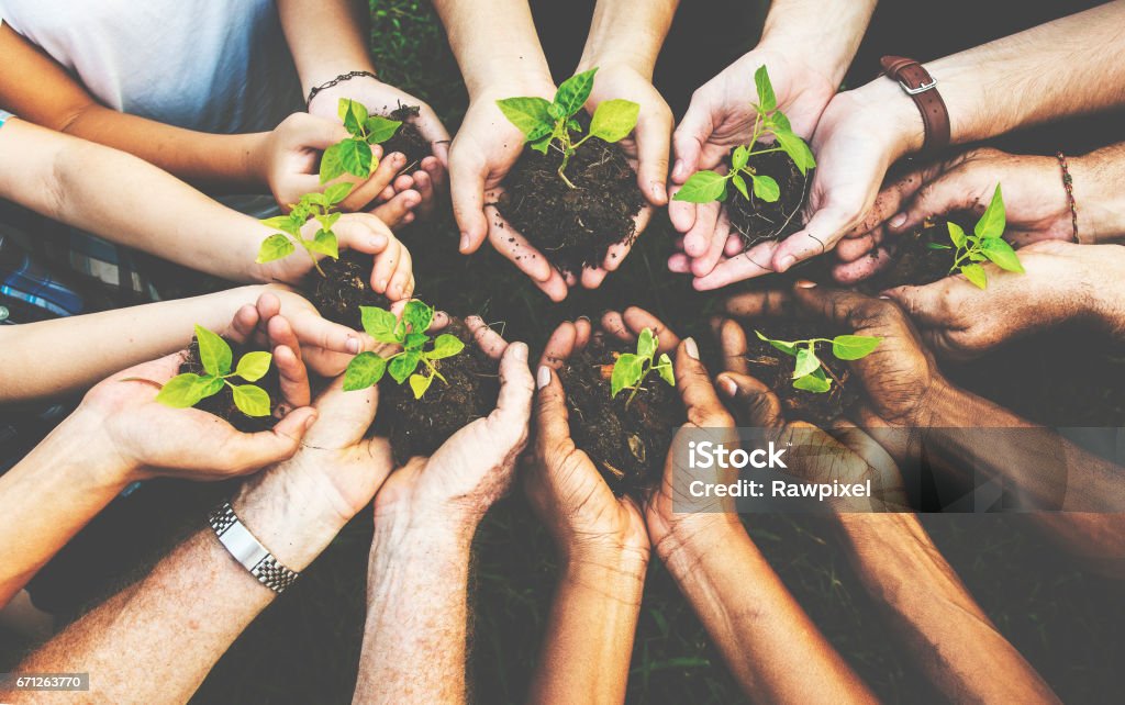Gruppe von Umweltschutz Menschen Hände Bepflanzung im Luftbild - Lizenzfrei Pflanze Stock-Foto