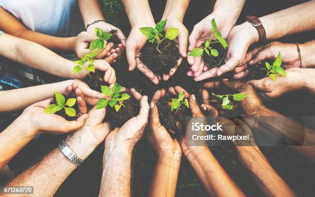 Gruppe Von Umweltschutz Menschen Hände Bepflanzung Im Luftbild Stockfoto und mehr Bilder von Pflanze