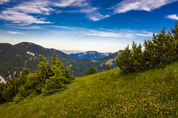 istock Zavizan Velebit Croatia Europe 671270960
