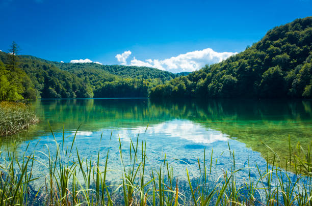 Plitvice Lakes National Park Croatia Europe. Beautiful nature and landscape photo of warm nice summer day. Lovely outdoors with blue colorful sky, green trees and forest. Happy joyful and relaxing.