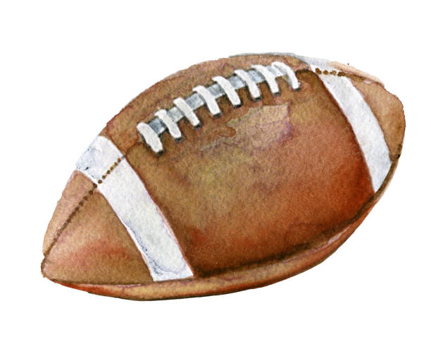 akwarela szkic piłki futbolu amerykańskiego na białym tle - football education tall sport stock illustrations