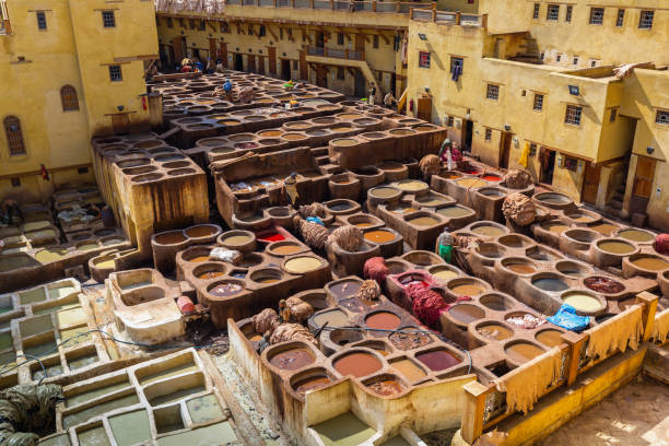 istock Tannery in Fes 671277394