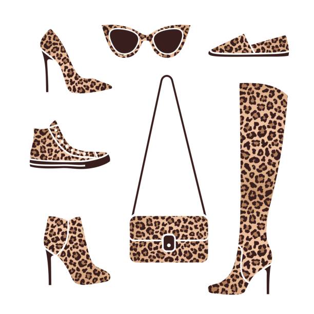 Shoes And Accessories With Fashionable Leopard Print Stock Illustration -  Download Image Now - iStock