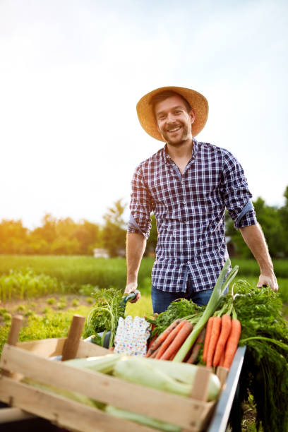 istock Cheerful farmer with wheelbarrow in garden 671281780