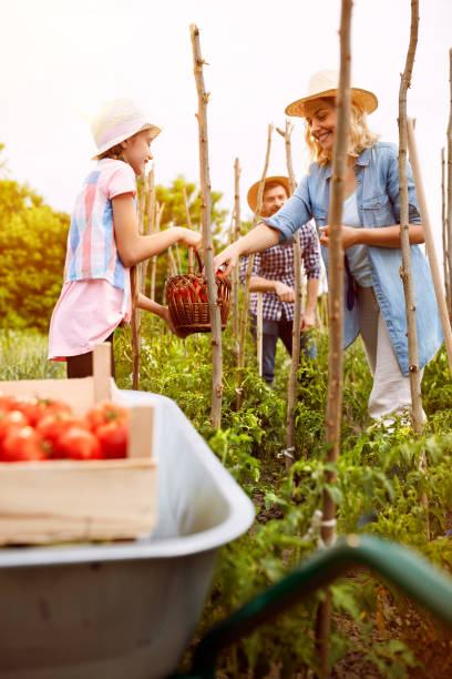 istock Rural family working in garden 671286762