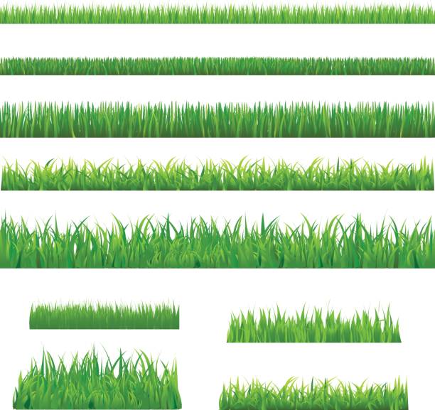 녹색 잔디 커요 - turf stock illustrations