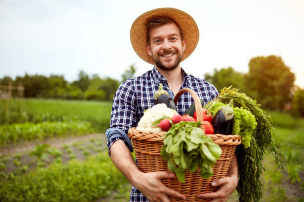 istock Farmer with freshly picked vegetables in basket 671287018