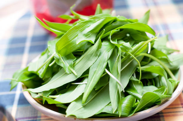 ail sauvage, ramsons sur table en bois closeup - herbal medicine nature ramson garlic photos et images de collection