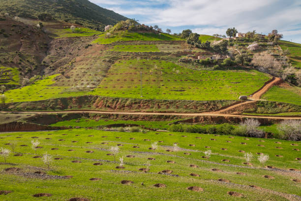 Spring landscape around Fes, Morocco