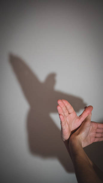 istock Hands gesture like dove on white background. 671317374