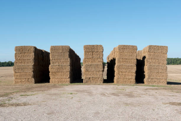 istock Harvest is done and Hay is stacked 671317494