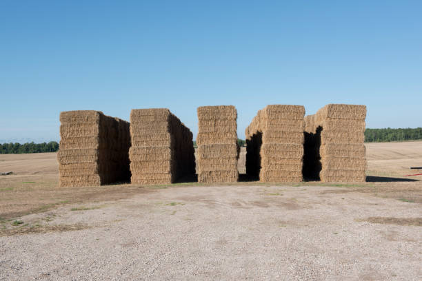 istock Harvest is done and Hay is stacked 671317500