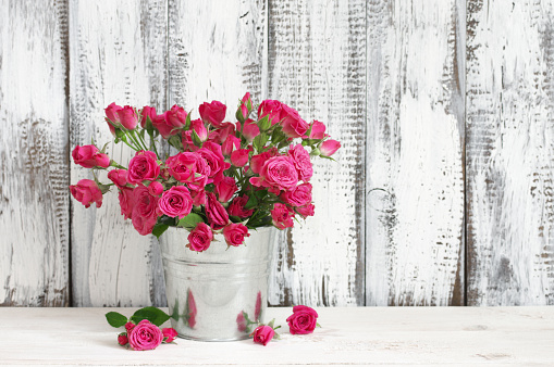 Bouquet of crimson spray roses in galvanized bucket on white wooden table against shabby wall.