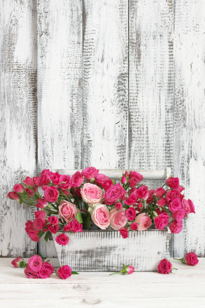 istock Bouquet of pink roses in box 671317730
