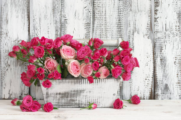 istock Bouquet of pink roses in box 671317834