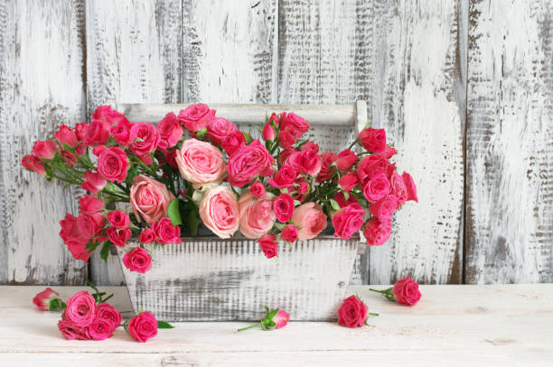 istock Bouquet of pink roses in box 671317848