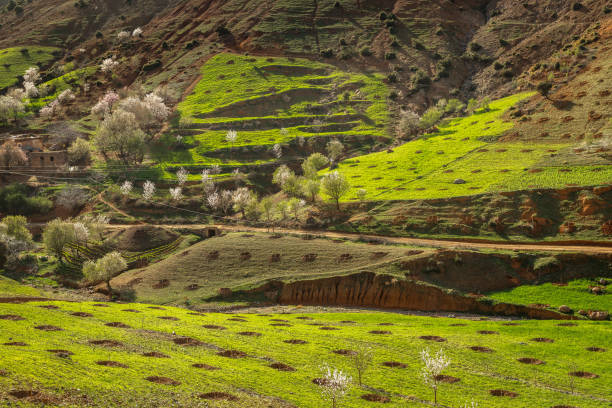istock Spring landscape around Fes, Morocco 671320744