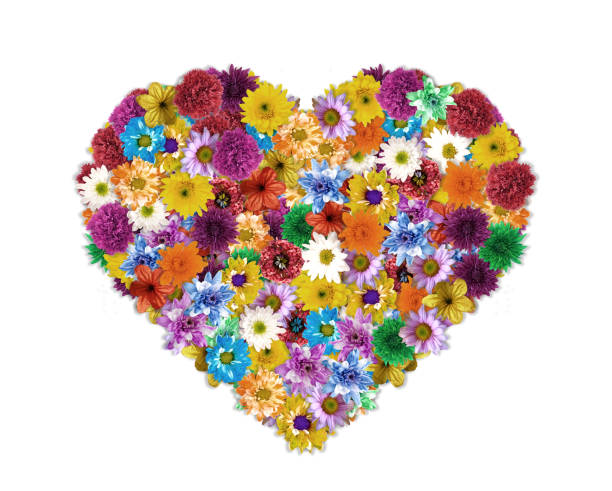 istock Flower arrangement is Heart-shaped 671323422