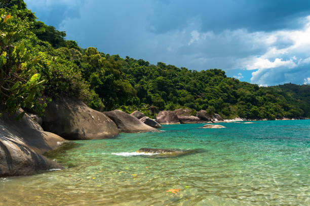 Tropical Brazilian Beach stock photo