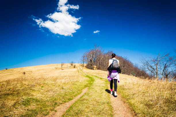 Beautiful spring landscape. Golden meadow, path,  deep blue sky, horizont and two hikers silhouette. Jablanik mountain, Serbia, Europe