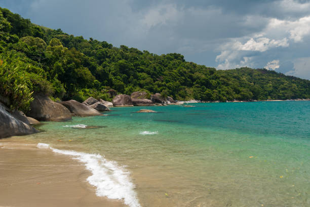 istock Tropical Brazilian Beach 671331910