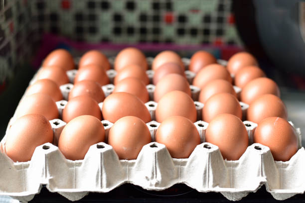 istock Close up chicken eggs in paper pit tray 671334608