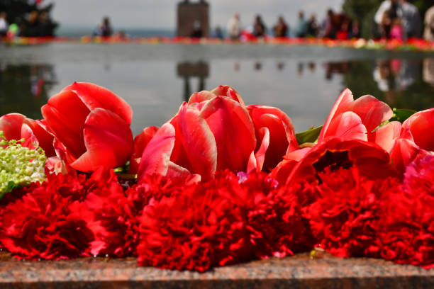 istock Red tulips and carnations 671338660