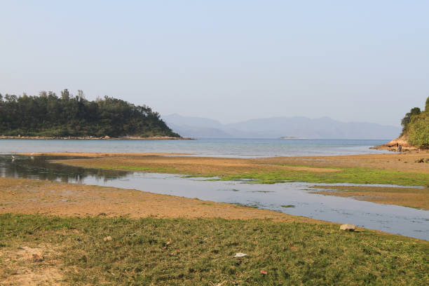 istock Star fish Bay at Ma On Shan 671340014