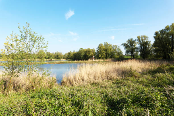 istock Millingerwaard with Birdwatching-Station/ Netherlands 671357532