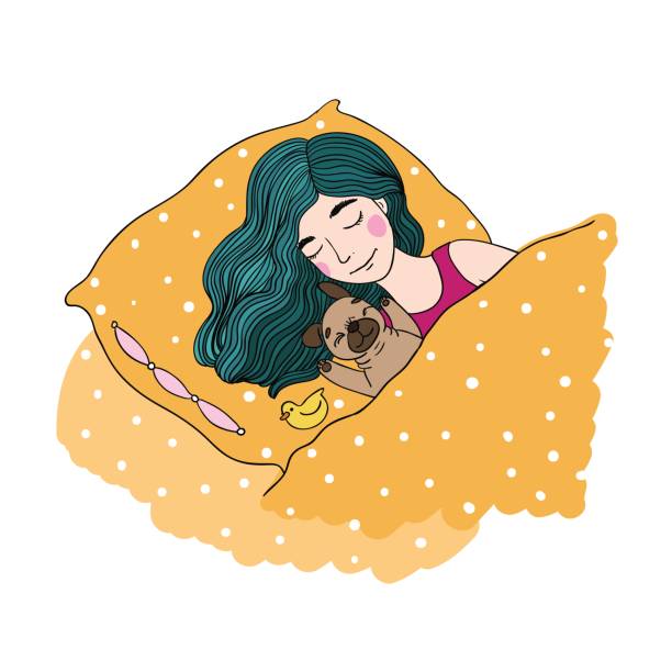 Sleeping beautiful young girl and a cute pug. Sleeping beautiful young girl and a cute pug.Pillow and blanket. Pets. Hand drawing isolated objects on white background. Vector illustration. sleeping pug stock illustrations