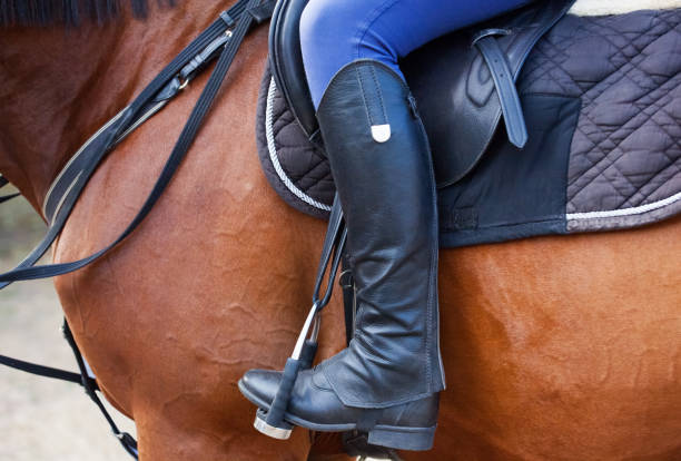 istock The rider sits on a brown stallion. 671361352