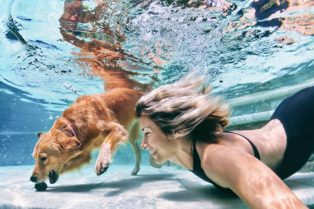 divertente ritratto di donna sorridente con cane in piscina - underwater dog adult happiness foto e immagini stock