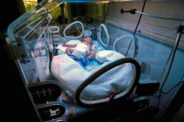 Newborn child baby having a treatment for jaundice under ultraviolet light in incubator. Newborn child baby having a treatment for jaundice under ultraviolet light in incubator. A neonatal intensive care unit (NICU), intensive care nursery (ICN) for premature newborn infants incubator stock pictures, royalty-free photos & images