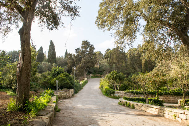 istock Country lane in malta 671373200