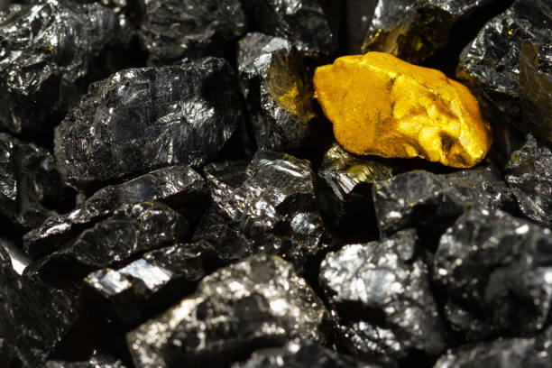 Golden Nugget On Raw Coal Nuggets Black Gold Natural Gold Stock
