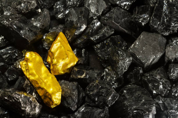 Golden Nugget On Raw Coal Nuggets Black Gold Natural Gold Stock