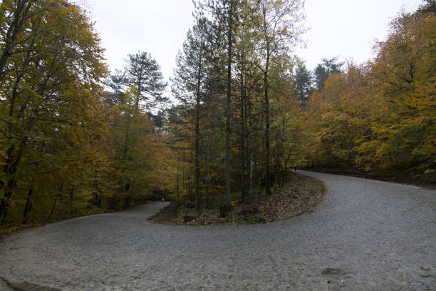 istock Yedigoller National Park. 671382788