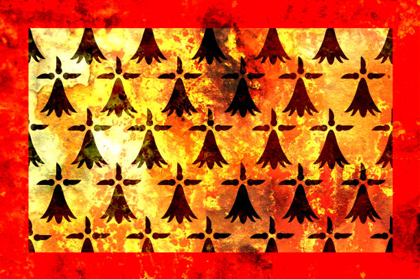 some very old grunge flag of Limousin