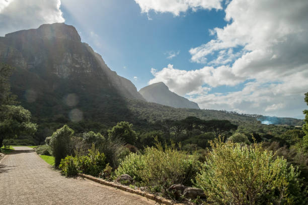 istock Cape town botanic garden 671414240