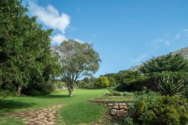 istock Cape town botanic garden 671414586