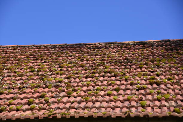 Tiled roof with moss Roof on old building gebrochen stock pictures, royalty-free photos & images