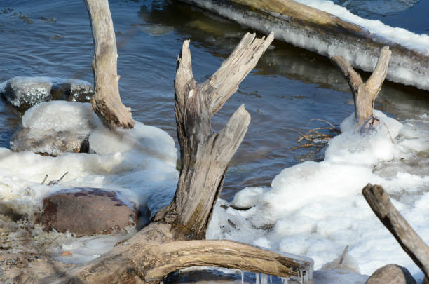 Late winter abstract at the shoreline of the scenic Upper Mississippi River in central Minnesota; displaying driftwood, rocks, clumped ice, and river shallows.