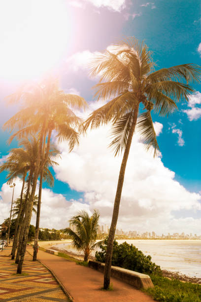 istock Joao Pessoa, northeast of Brazil 671421908