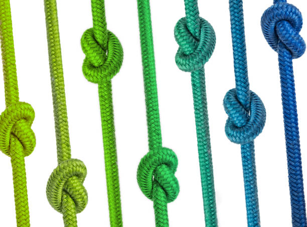 istock group of ropes with knots in a row 671427238