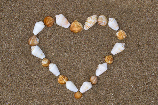 istock Sea shell heart shape on wet sandy beach. 671429670