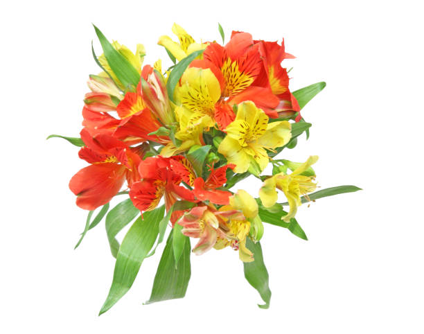 istock Bouquet of alstroemeria 671431526