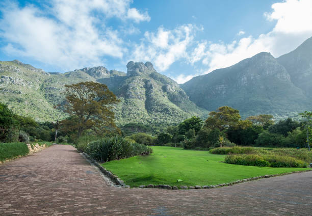istock Cape town botanic garden 671436642