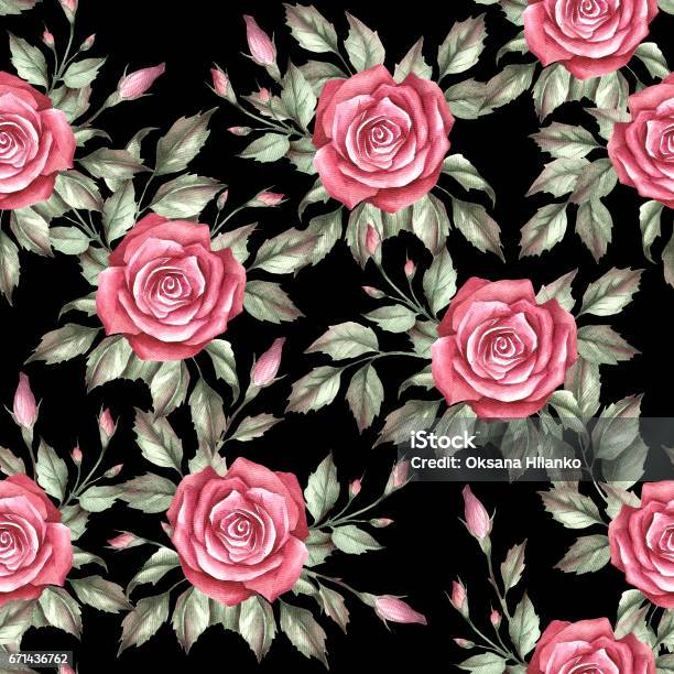 Rose Drawing Pattern Vector Seamless Pattern With Roses Hand Draw Watercolor Illustration Stock ...